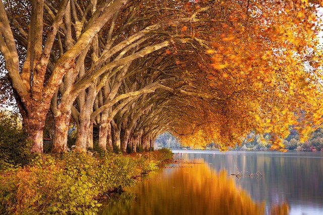 fall gc19ed1567 640