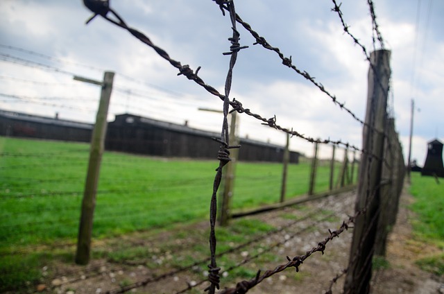 fence 444416 640