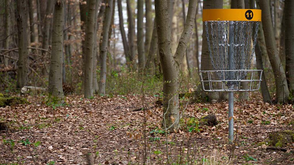 Diskgolf im Weseruferpark