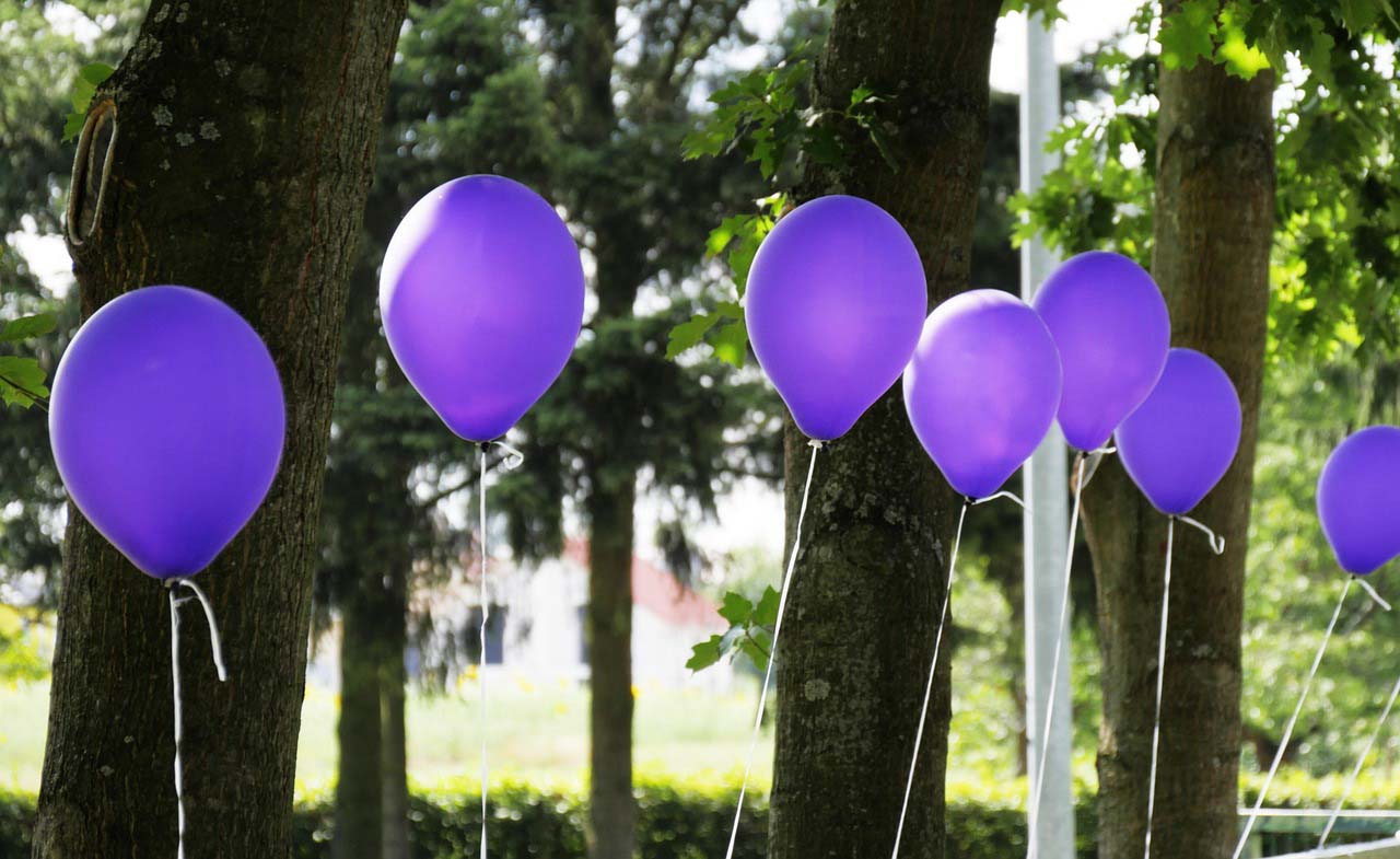 balloons-2777259-1280-kleiner