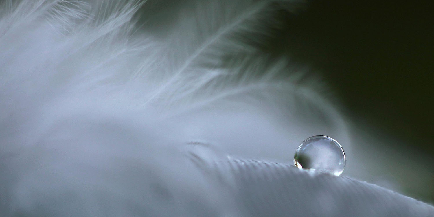 youngpeople 3575167 18x9 1500px