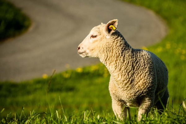 Tour 01: Hafen Hasenbüren